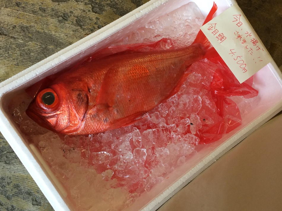 気仙沼と働く vol.9 人にも地球にもやさしい魚食
